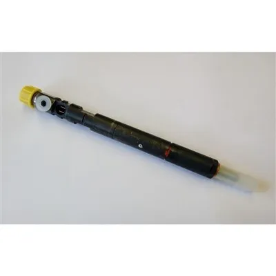 Injektor Mercedes-Benz A6460700987